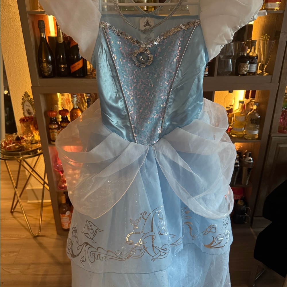 SALE! Disney Cinderella Princess Kids Costume